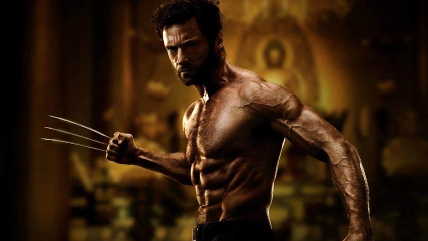 The Wolverine (2013)