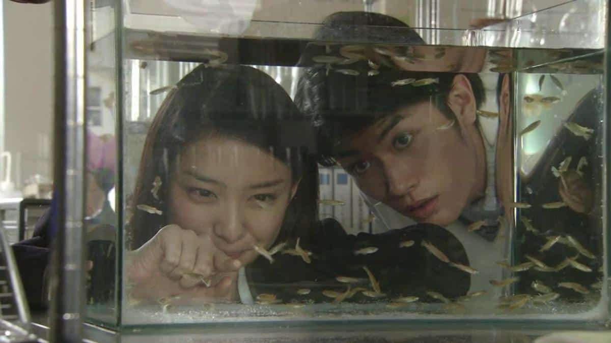 Taisetsu na Koto wa Subete Kimi ga Oshiete Kureta