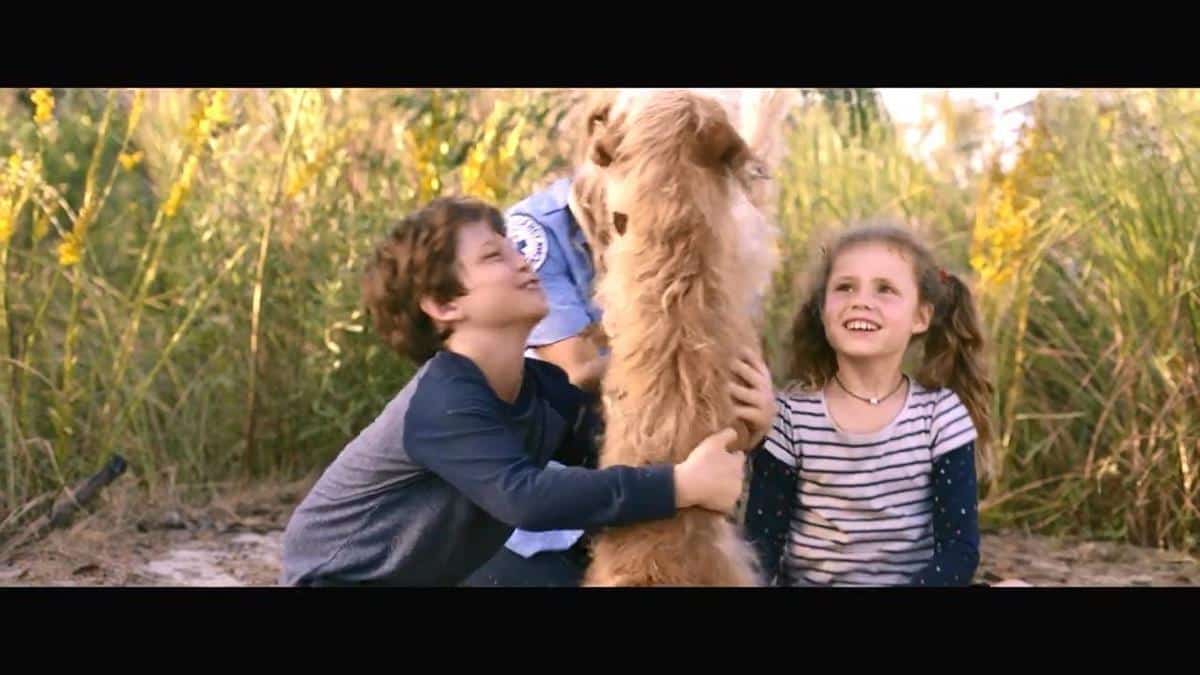 Film Keluarga yang Digarap Sekeluarga