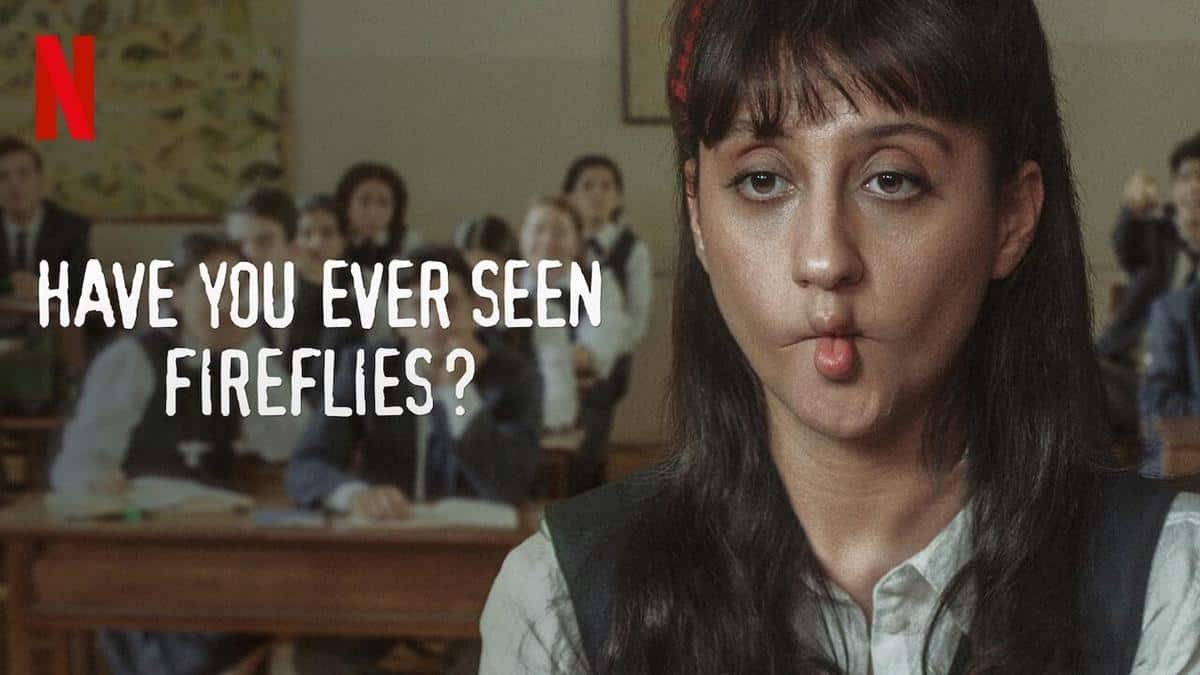 review have you ever seen fireflies_Sinopsis