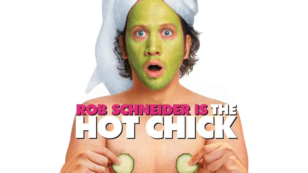 The Hot Chick_Poster (Copy)