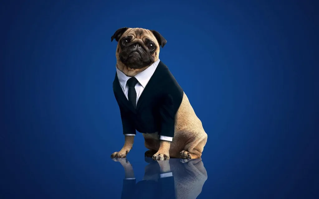 fakta-men-in-black-2-1_