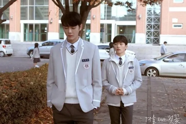 cherry blossom after winter 8_