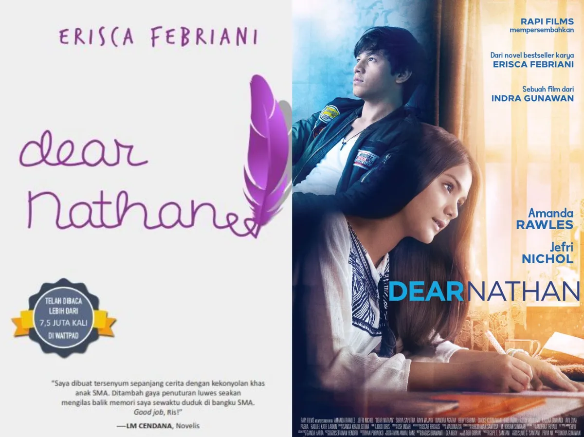 novel_dear nathan_