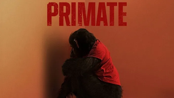 Primate (Copy)